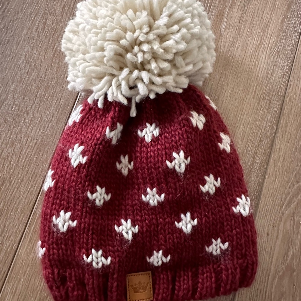 NWOT Pom Beanie